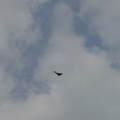Flugplatzfest 2006 30