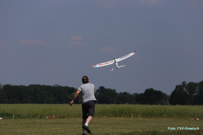 IMG 7307
